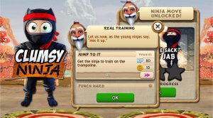 Clumsy-Ninja.jpg